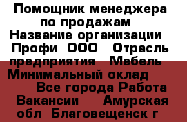 Помощник менеджера по продажам › Название организации ­ Профи, ООО › Отрасль предприятия ­ Мебель › Минимальный оклад ­ 60 000 - Все города Работа » Вакансии   . Амурская обл.,Благовещенск г.